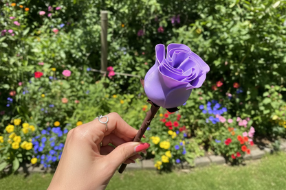 Rosa 3D